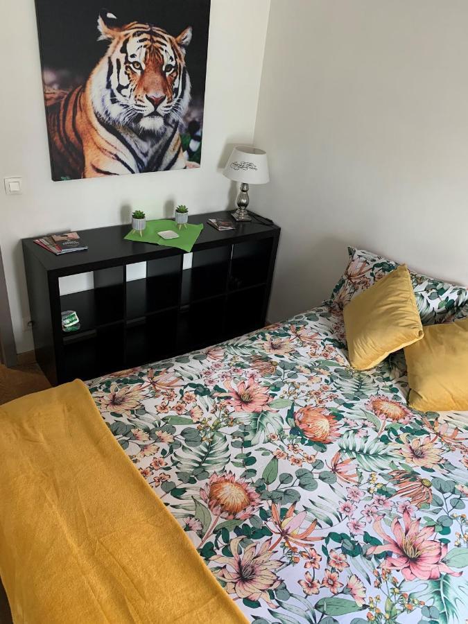 Bnb Antwerp Centrum المظهر الخارجي الصورة