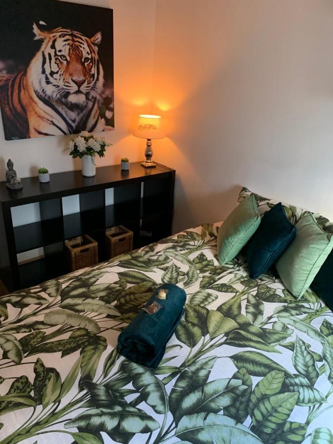 Bnb Antwerp Centrum المظهر الخارجي الصورة